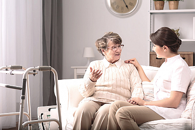 Сиделка суточная